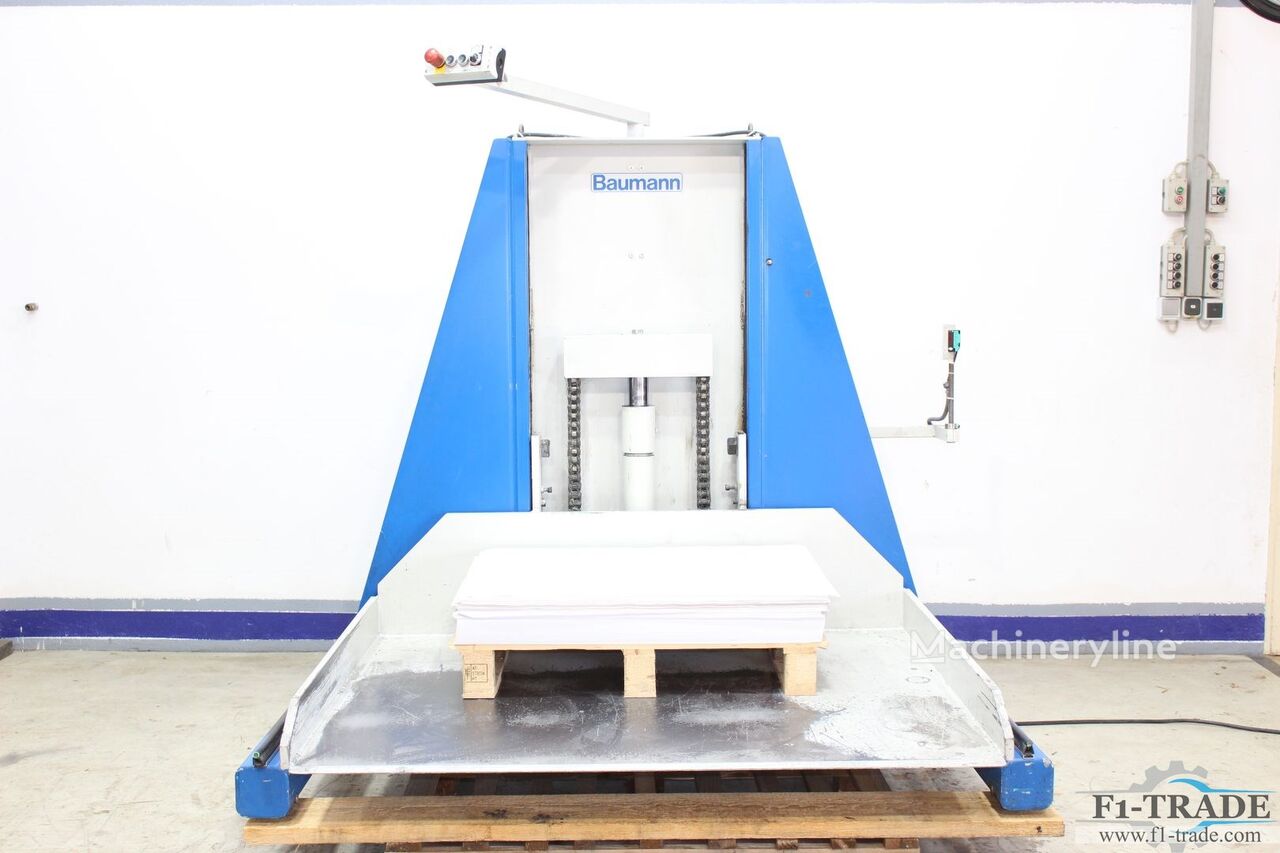 2005 Baumann NUP 1600 Pile Lifter for sale
