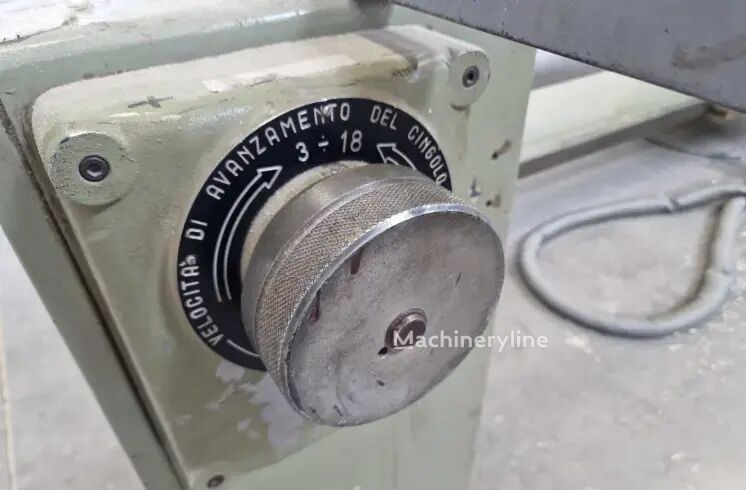 2000 Celaschi TSA 300 Wood Saw for sale — view 5
