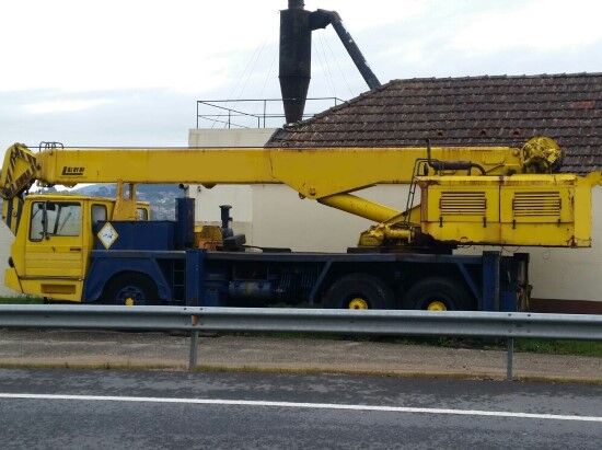 1980 Luna GT 25 28 All Terrain Crane for sale — view 2