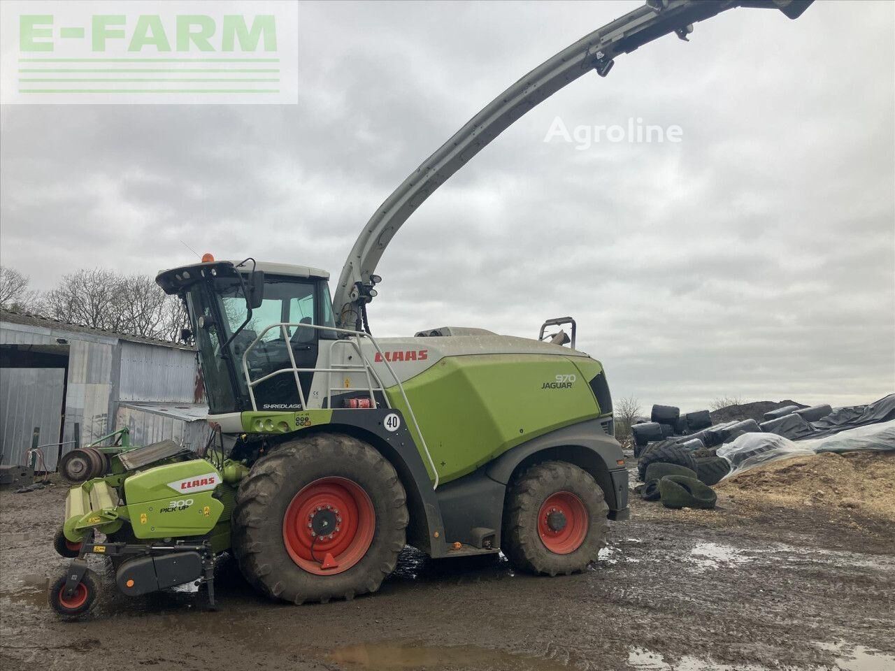 2021 Claas Jaguar 970 - S Harvester - Forage for sale