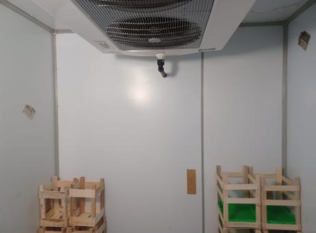 Costan Costan Refrigeration for sale — view 2