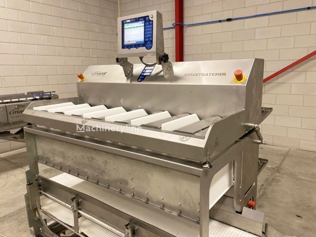 2010 Marel TB-3000 Filling Machine for sale — view 2