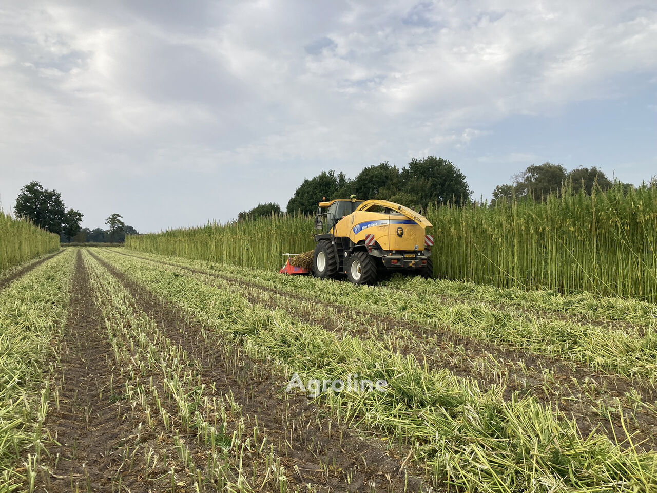 Holland FR9060 FOR HEM Harvester - Forage for sale — view 4