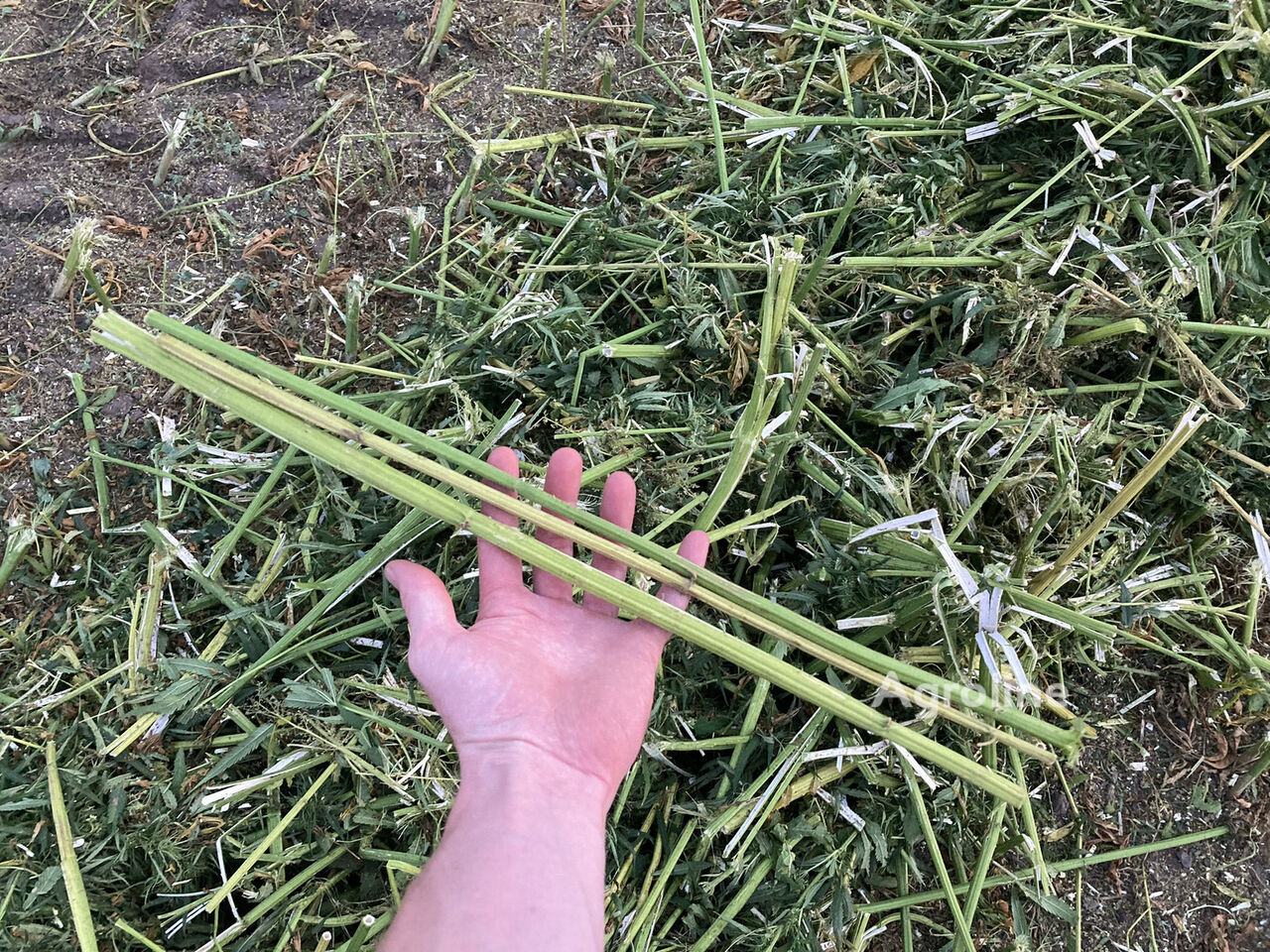Holland FR9060 FOR HEM Harvester - Forage for sale — view 5