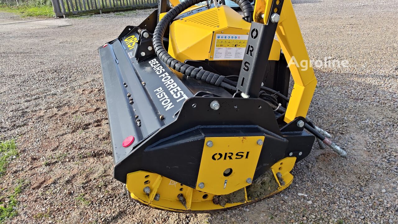2023 Orsi Bears Forrest Tillage - Mulcher for sale — view 3