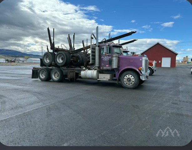 1997 Peterbilt 378 Timber Truck for sale