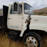 1980 Ford LN600 Flatbed Truck for sale