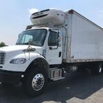 2023 Freightliner Business Class Refrigerated Truck for sale — view 3