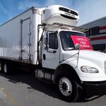 2019 Freightliner Business Class Refrigerated Truck for sale — view 3