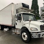 2017 Freightliner Business Class Refrigerated Truck for sale — view 3