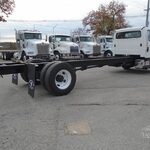 2019 Freightliner Business Class Cab Chassis Truck for sale — view 4