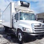 2019 Hino 338 Refrigerated Truck for sale — view 3