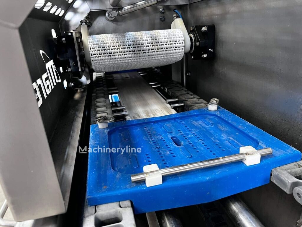 2003 Marel TSM2-C165 Prof Meat Processing for sale — view 4