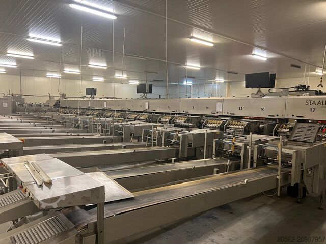 2010 Sanovo Opti Grader 60 Packing Machine for sale
