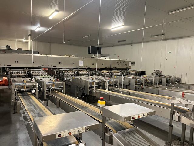2010 Sanovo Opti Grader 60 Packing Machine for sale — view 4