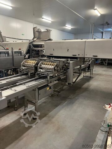 2010 Sanovo Opti Grader 60 Packing Machine for sale — view 5